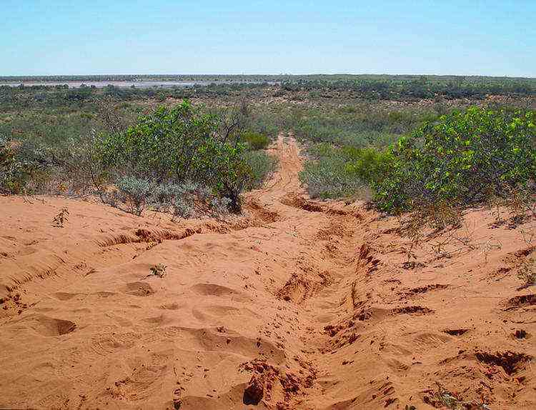 sand dune