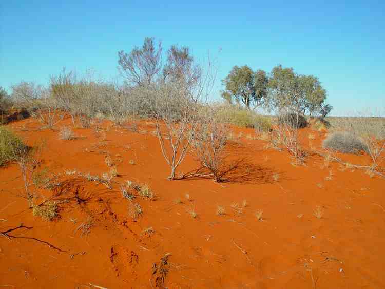 sand dune