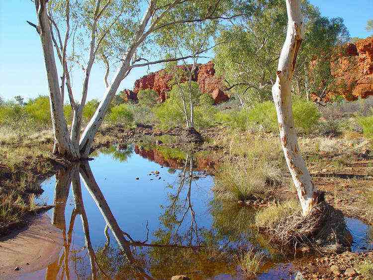 Durba Springs