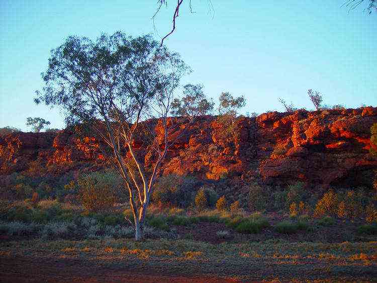 Durba Springs