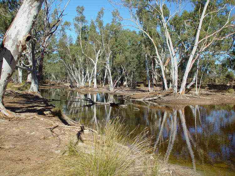 Windich Springs